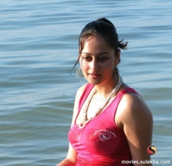 stef2