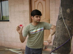 Sonu