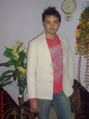 vini