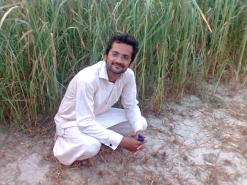 niazi