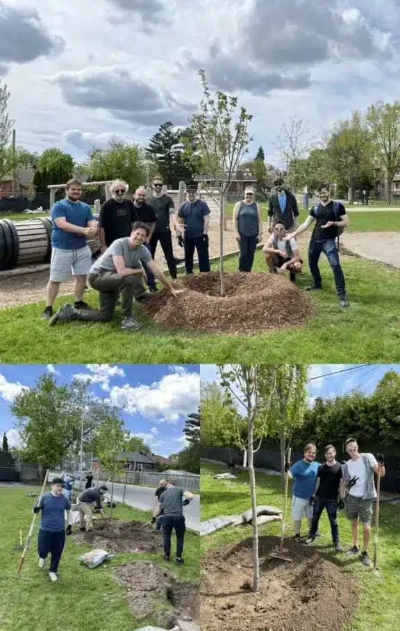 combined full tree